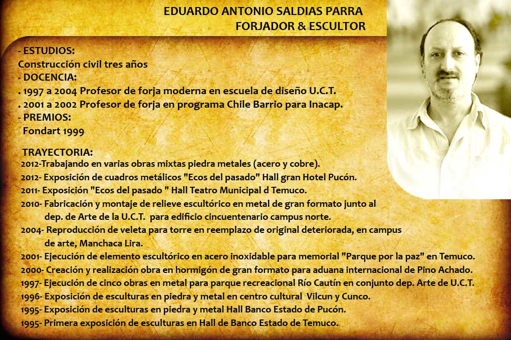 curriculum Eduardo Saldias